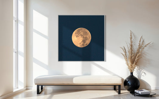 HARVEST MOON