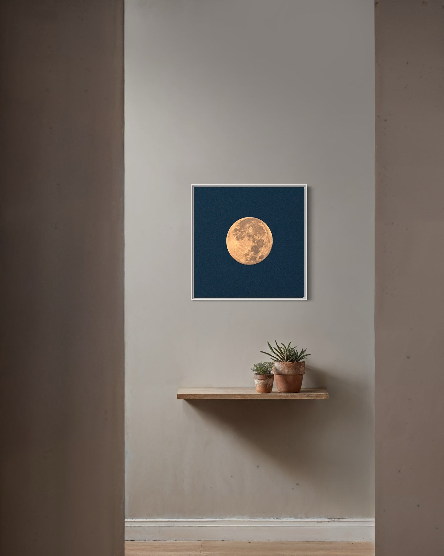 HARVEST MOON
