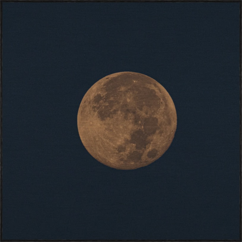 HARVEST MOON