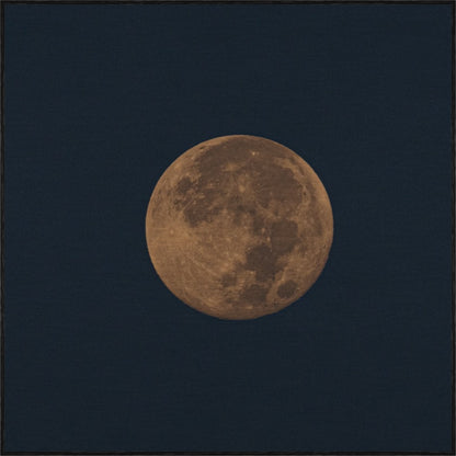HARVEST MOON
