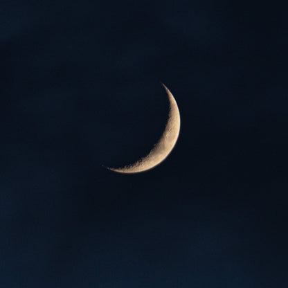 NEW MOON