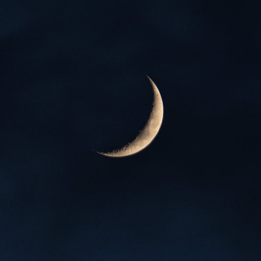 NEW MOON