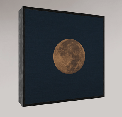 HARVEST MOON