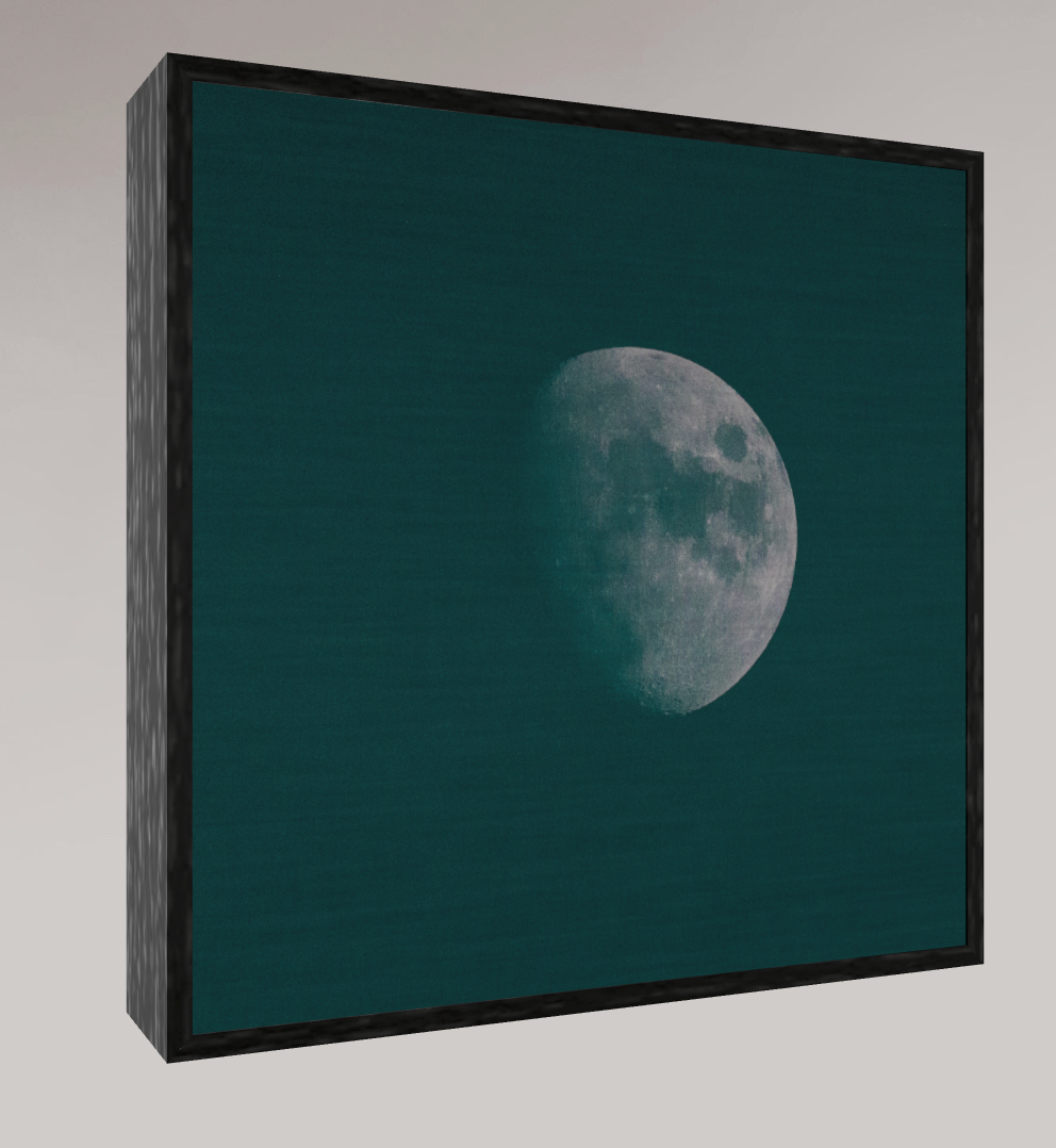 WINTER MOON