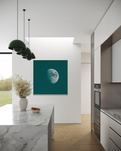 WINTER MOON