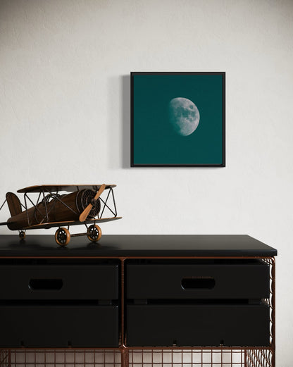 WINTER MOON