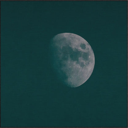 WINTER MOON